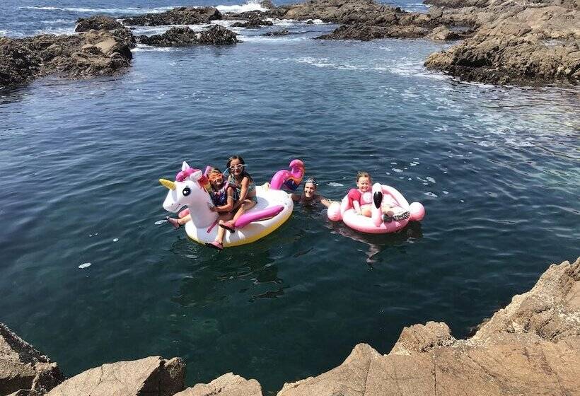 Bed and Breakfast Baja Off The Grid, Luxury Nature Glamping Retreat