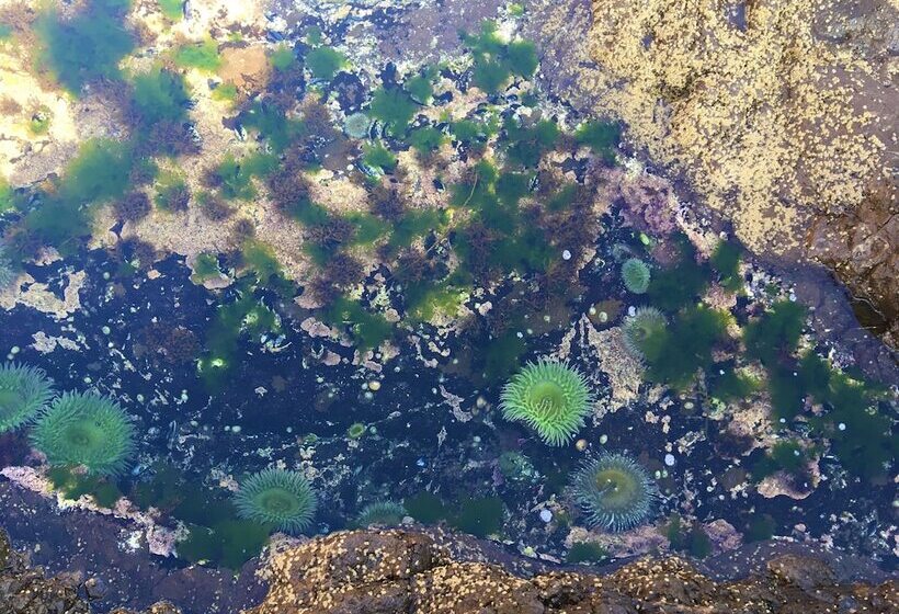 민박 Baja Off The Grid, Luxury Nature Glamping Retreat