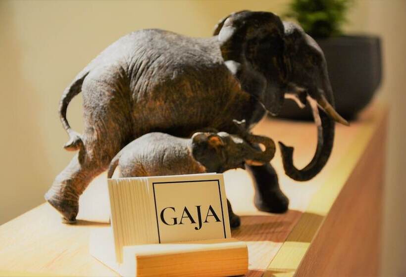 ベッドアンドブレックファースト Gaja Ayvalık