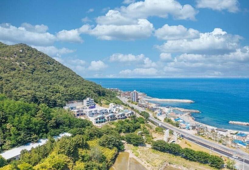 Heart Blue Road Town Pension