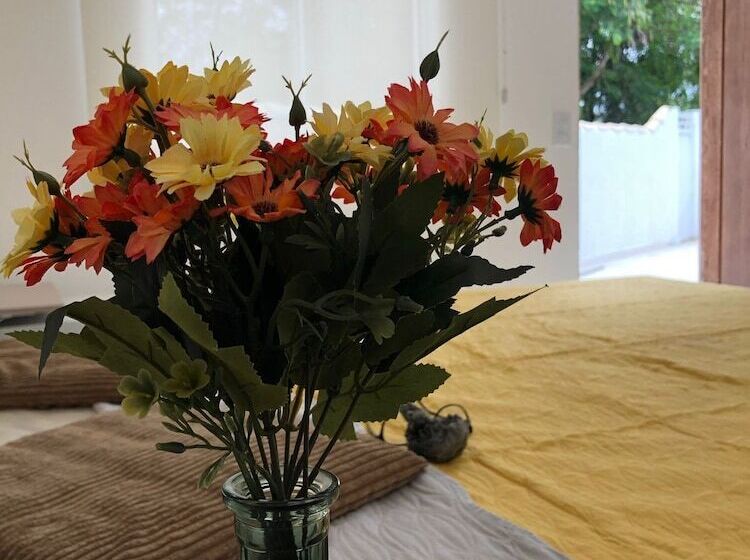 Хостел Vila Marguerida