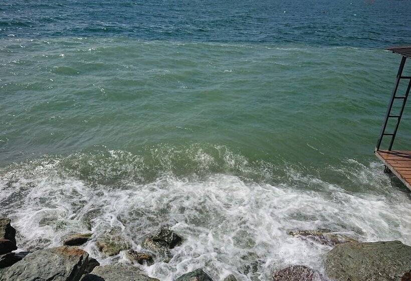 فندق Altitude 1900 Dive Resorts