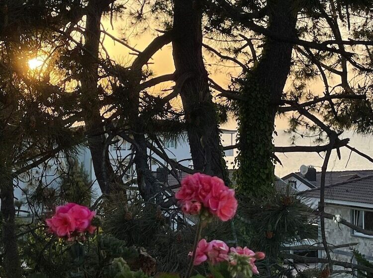 בית מלון כפרי Lalezar Sea & Garden