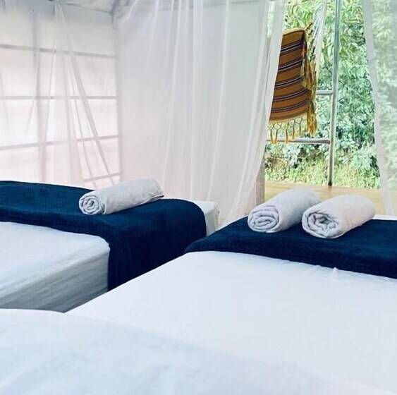 فندق Paraíso Escondido Cabañas, Reserva Rio Claro, San Luis Doradal