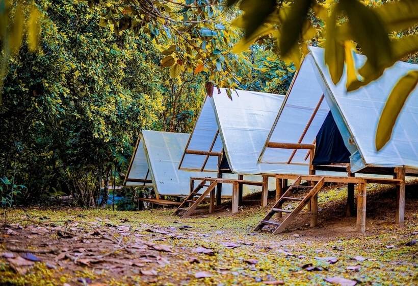 فندق Paraíso Escondido Cabañas, Reserva Rio Claro, San Luis Doradal