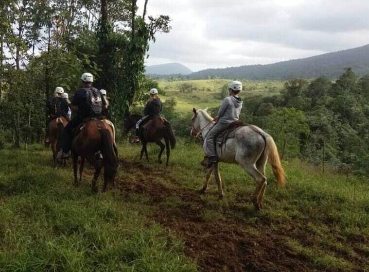 فندق Rio Celeste To Know