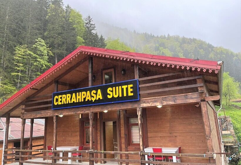 호텔 Uzungol Cerrahpasa Suites