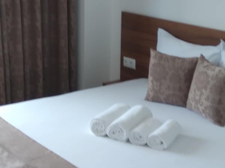 ホテル Weißer Schwan