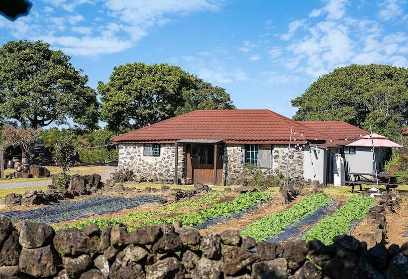 Jeju Motungedoljib Dogchaepension