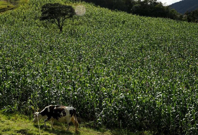 פנסיון Monzaque Paraíso Bachué