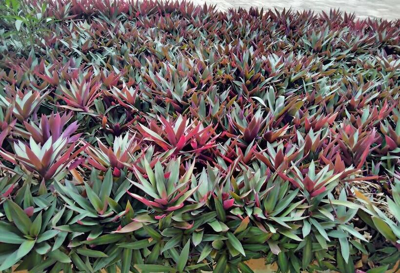 پانسیون Room In Guest Room   Renajoe Exclusive Guesthouse Tema Community 9