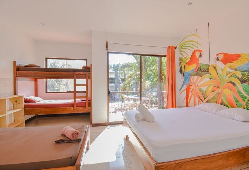 ペンション Tramonto Rojo Santa Teresa Guest House