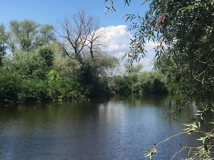 Pensiune Isaccea Souvenir