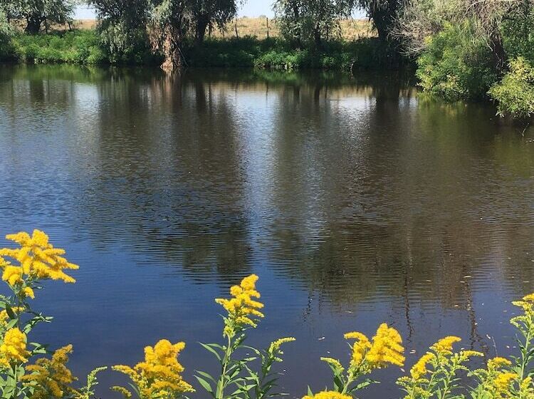 Pensiune Isaccea Souvenir