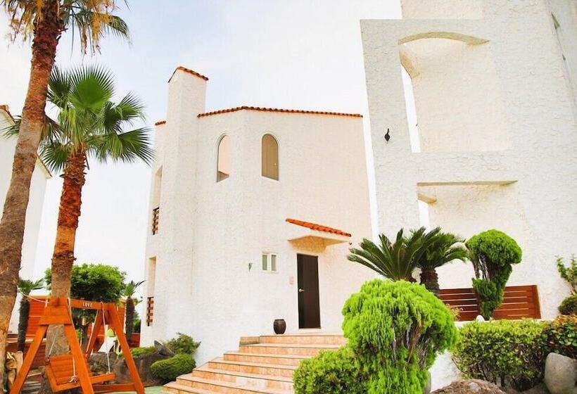 Sarang Tulle Pension