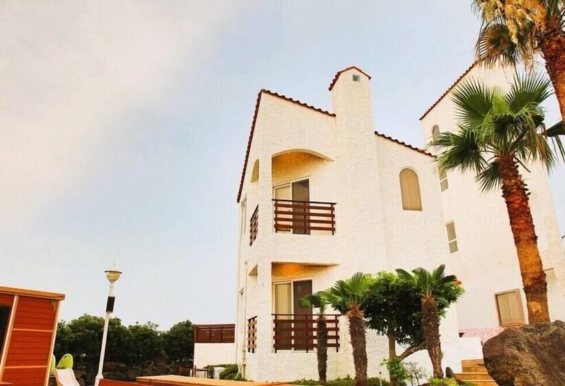 Sarang Tulle Pension