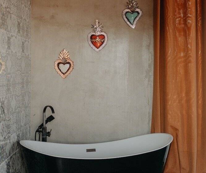 The Pangea Valle De Guadalupe