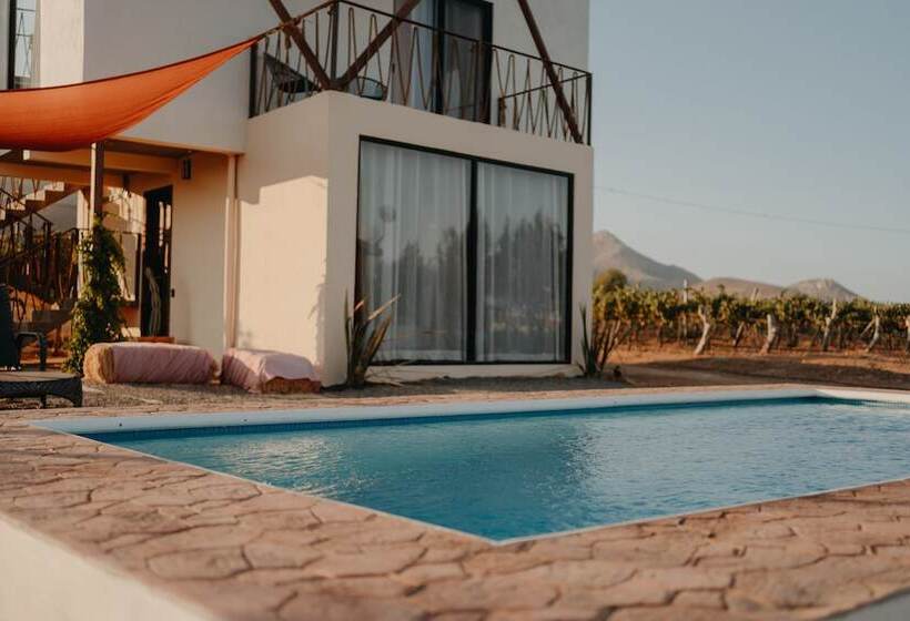 The Pangea Valle De Guadalupe