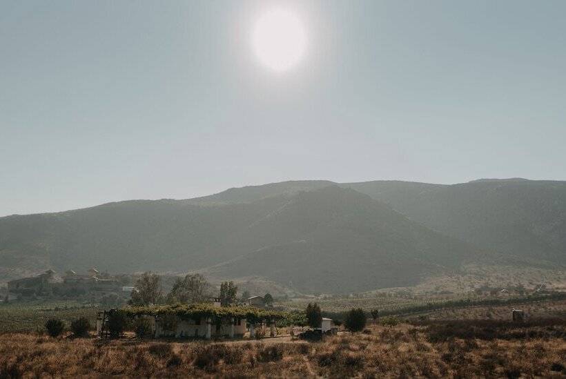 The Pangea Valle De Guadalupe