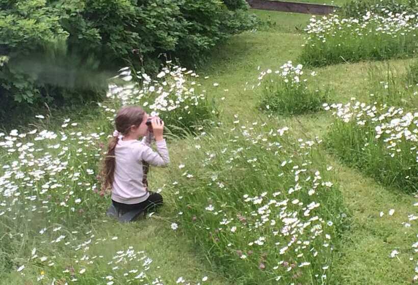 400 Year Old Swiss Chalet
