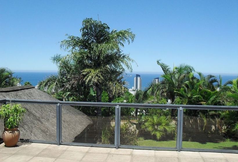 8 Royal Palm Bed & Breakfast