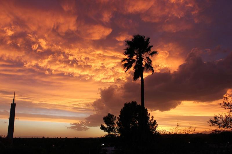 Общежитие Lodge 96