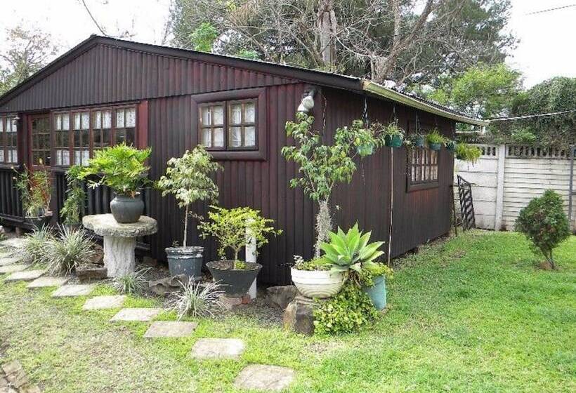 Alberta Bed And Breakfast