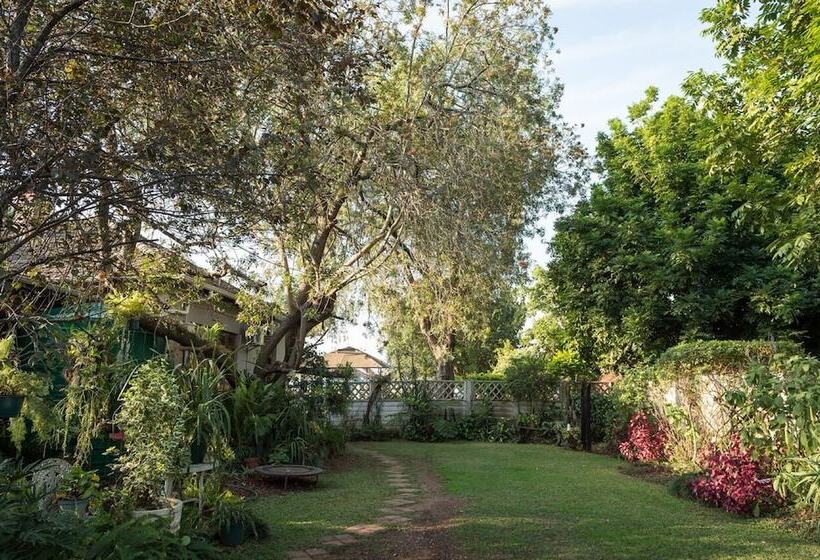 Alberta Bed And Breakfast