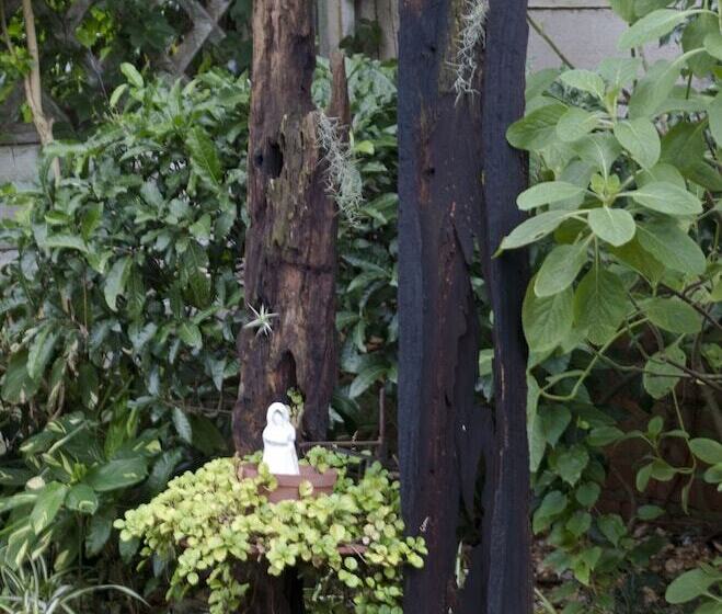 Alberta Bed And Breakfast