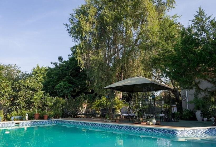 Alberta Bed And Breakfast