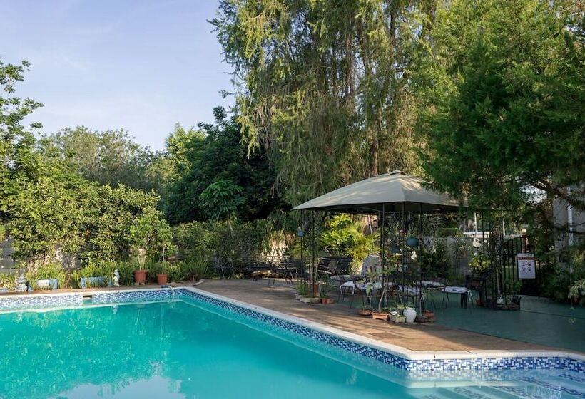 Alberta Bed And Breakfast