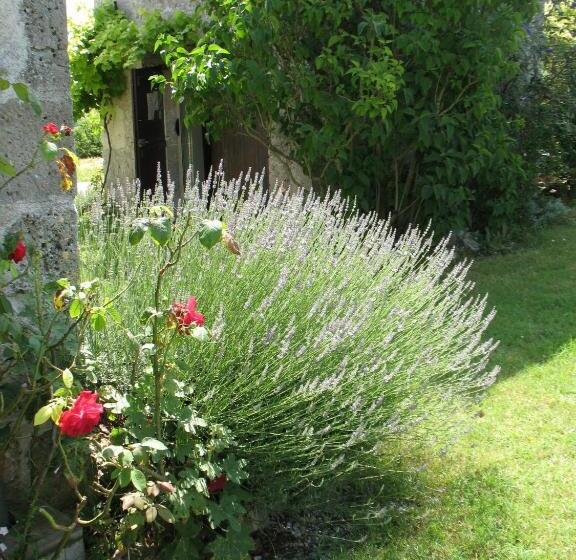 Bed and Breakfast Chambre D Hôtes Le Pigeonnier De Quittimont