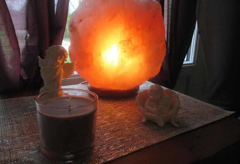 مبيت وإفطار Chambre Et Appartement Zen De Beauval