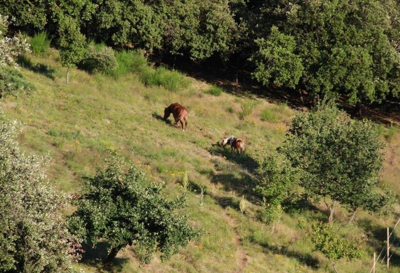 住宿加早餐  Chambres D'hôtes Vue Panoramique Proche De Carcassonne
