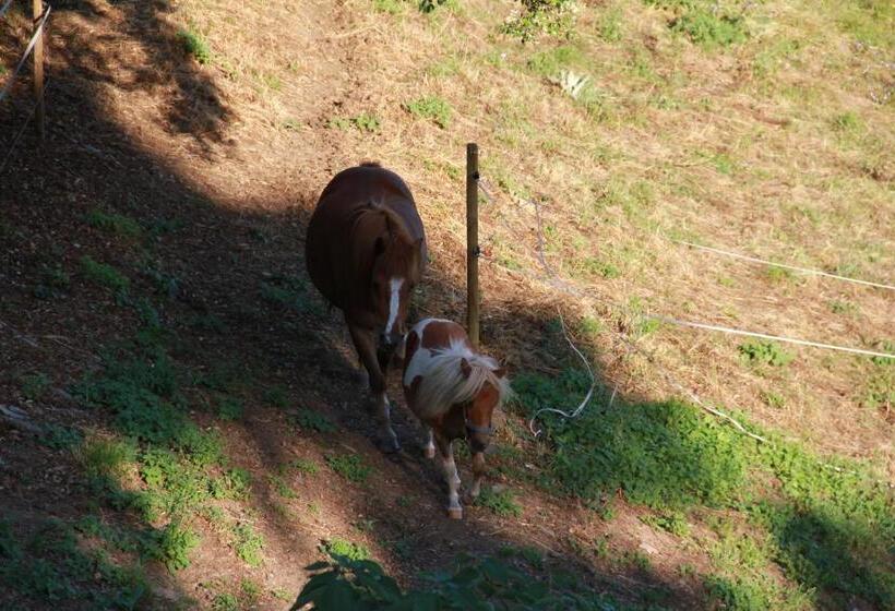 住宿加早餐  Chambres D'hôtes Vue Panoramique Proche De Carcassonne