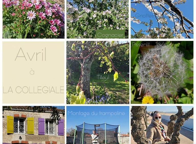 צימר La Collegiale