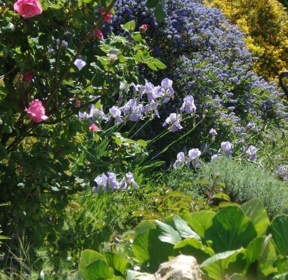 צימר La Collegiale