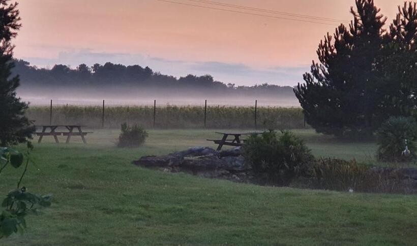 مبيت وإفطار La Ferme De Couffy