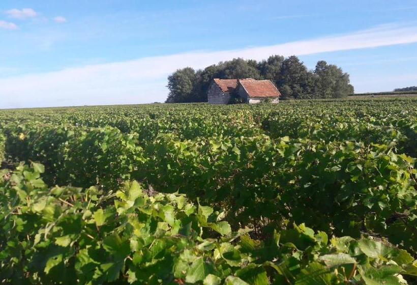 مبيت وإفطار La Ferme De Couffy