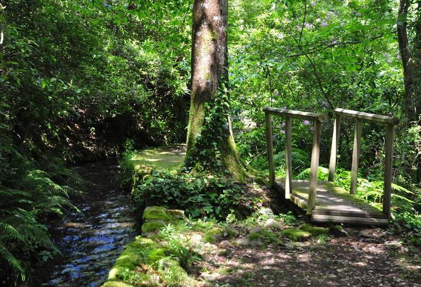 ベッドアンドブレックファースト La Forge De Montolieu