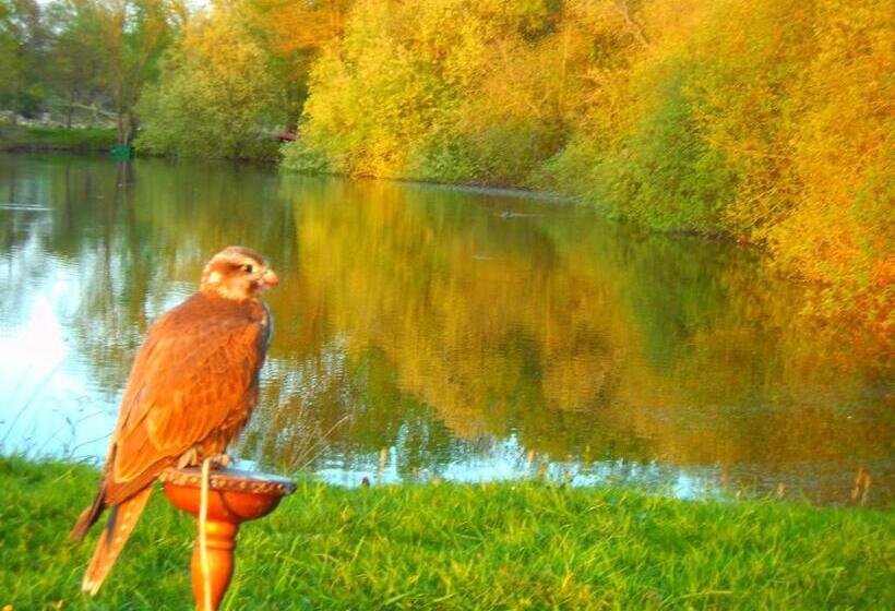 住宿加早餐  L'autourserie