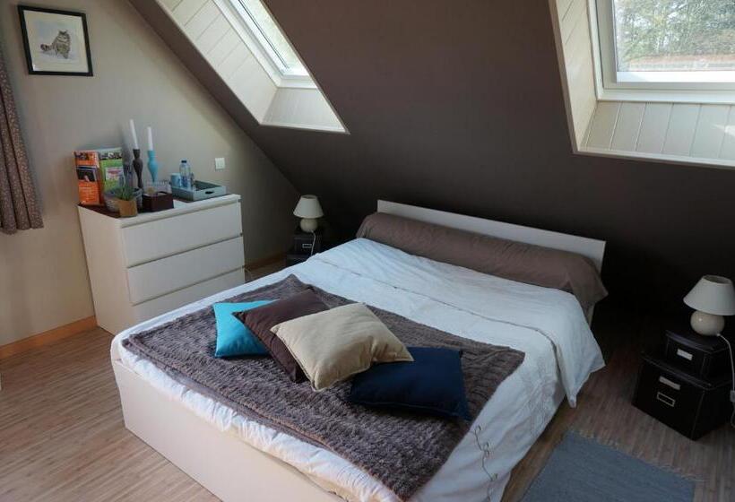 Bed and Breakfast Le Petit Chaton