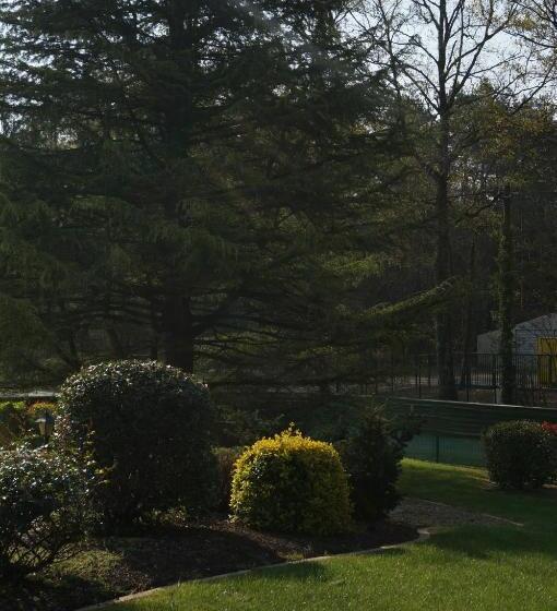 Bed and Breakfast Le Petit Chaton