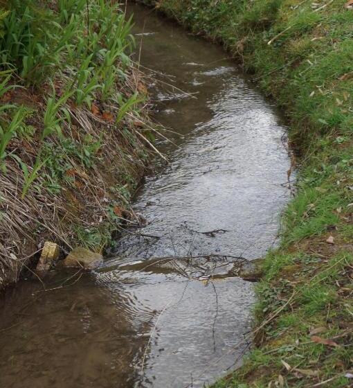 ベッドアンドブレックファースト Le Relais De Dalibray