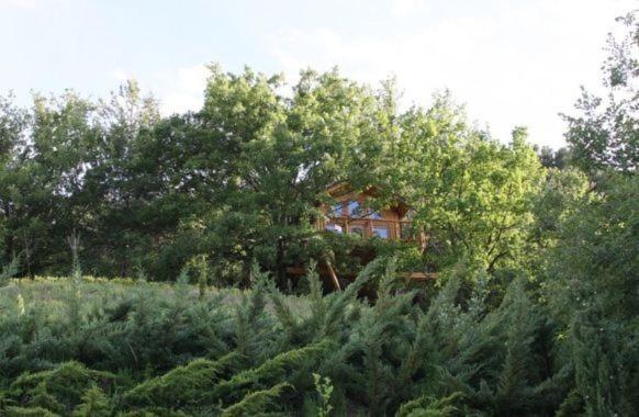 مبيت وإفطار Les Cabanes En Provence