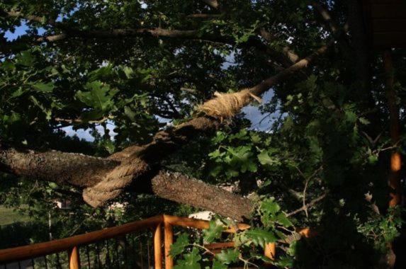 مبيت وإفطار Les Cabanes En Provence