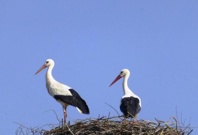 مبيت وإفطار L’été En Novembre