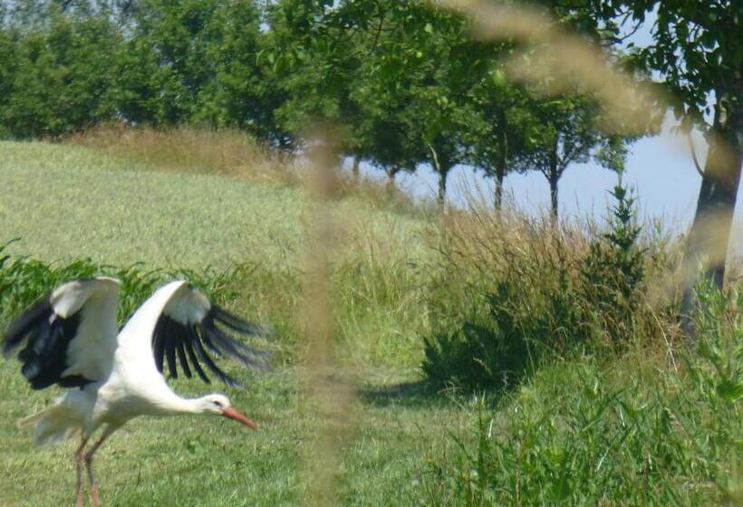 مبيت وإفطار L’été En Novembre