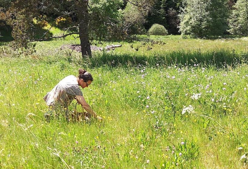 住宿加早餐 Maison Sous Les étoiles