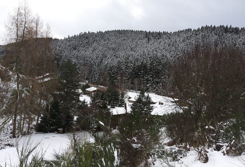 住宿加早餐 Maison Sous Les étoiles